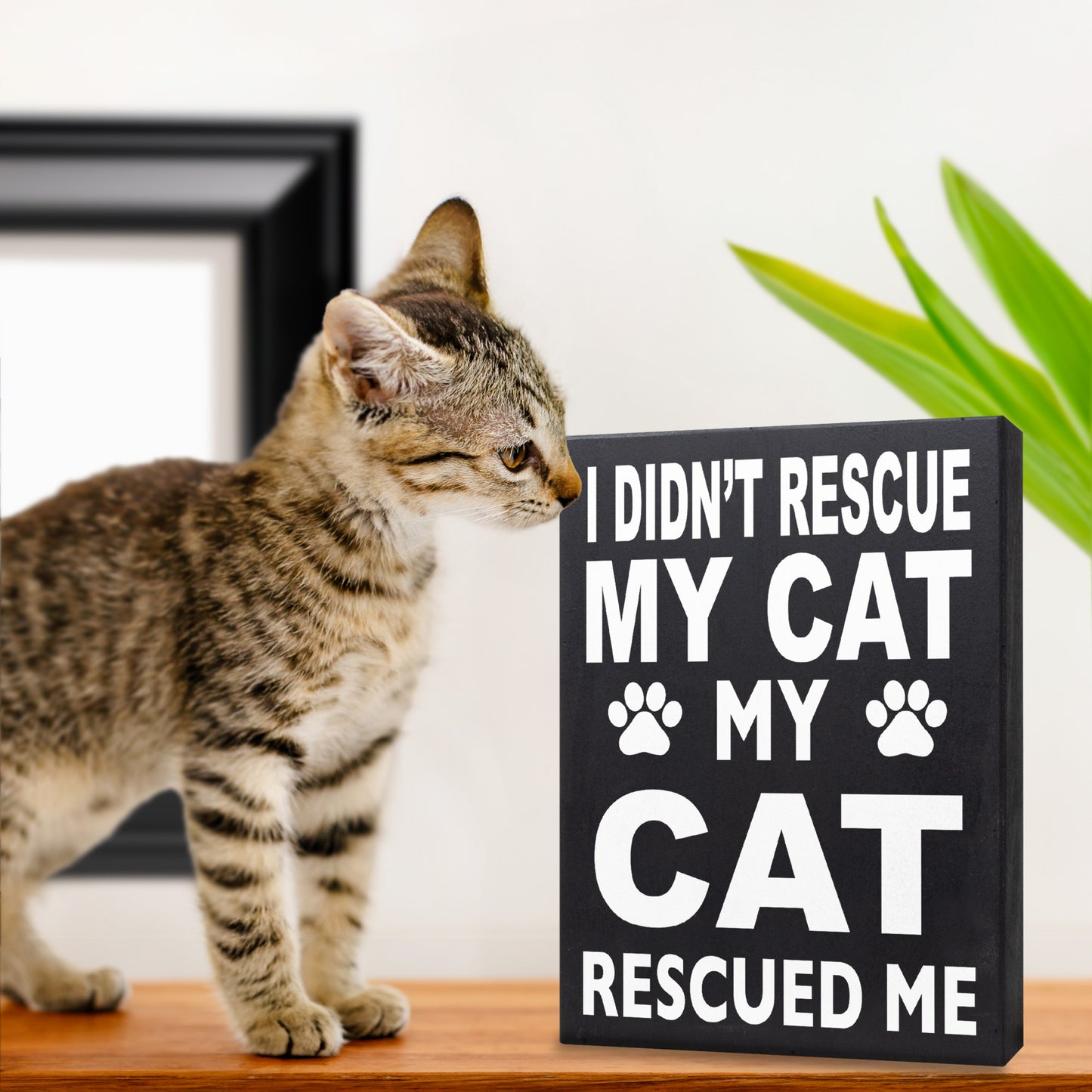 Cat Mom Gifts, I Didn't Rescue My Cat My Cat Rescued Me Wooden Sign, Cat Decor, Made in USA
