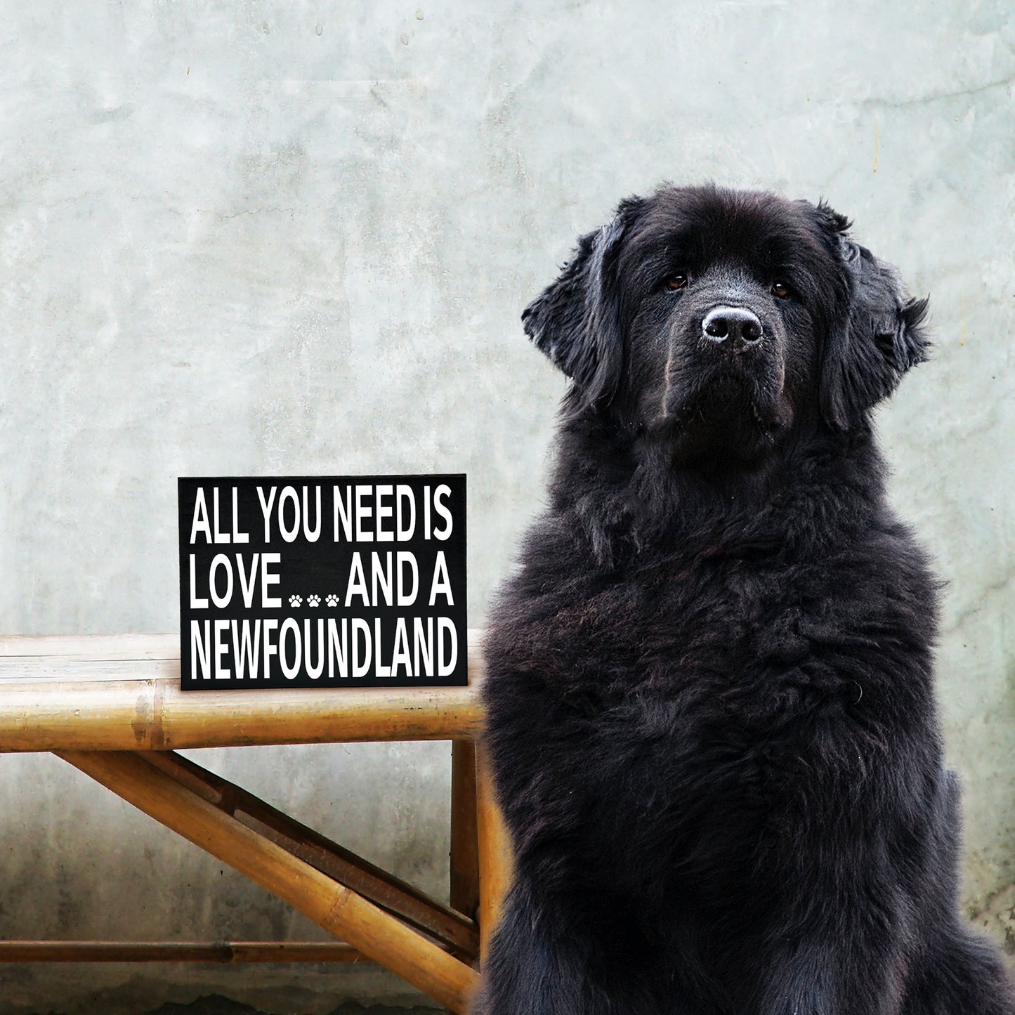All You Need is Love and a NewFoundland Wooden Sign