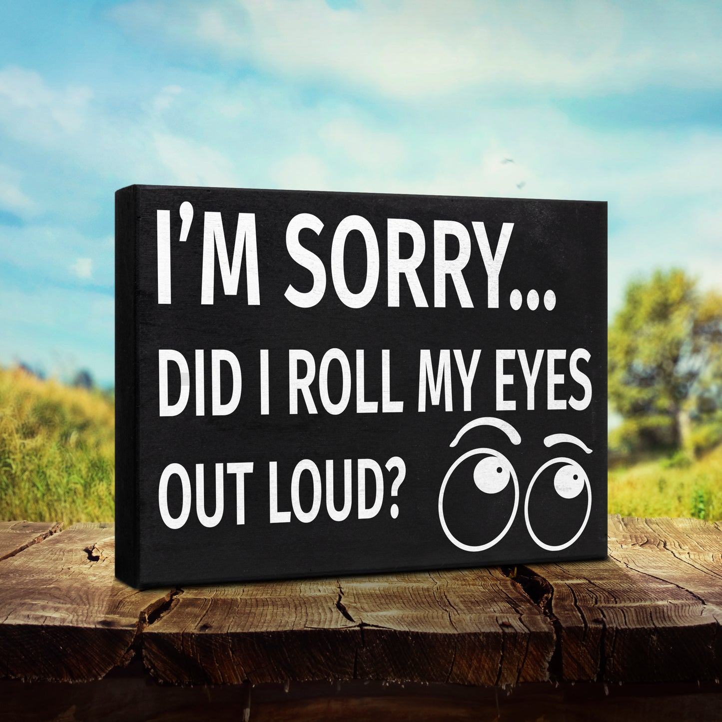 JennyGems I'm Sorry Did I Roll My Eyes Out Loud Funny Wooden Sign