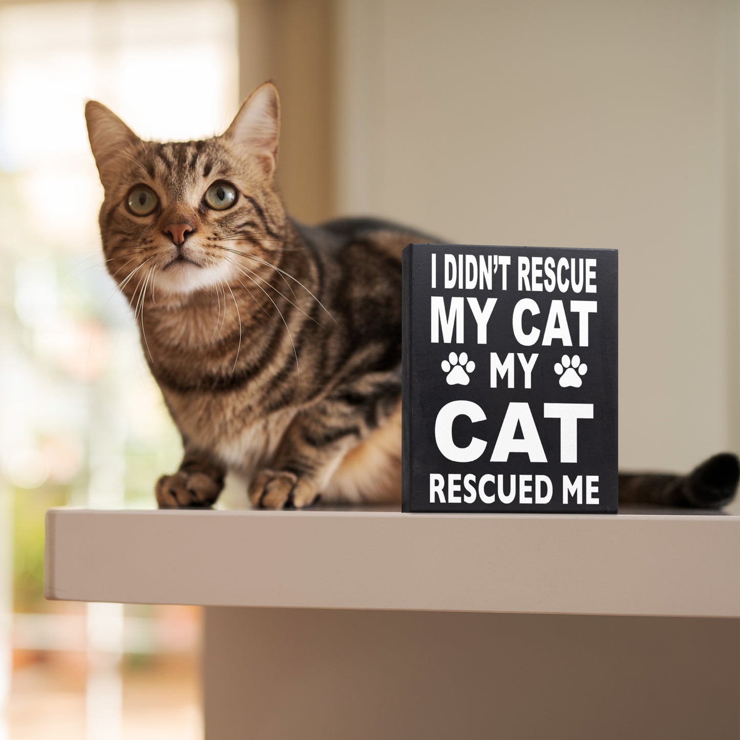 Cat Mom Gifts, I Didn't Rescue My Cat My Cat Rescued Me Wooden Sign, Cat Decor, Made in USA