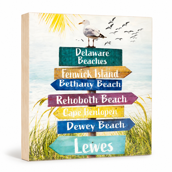 Delaware Beaches Sign
