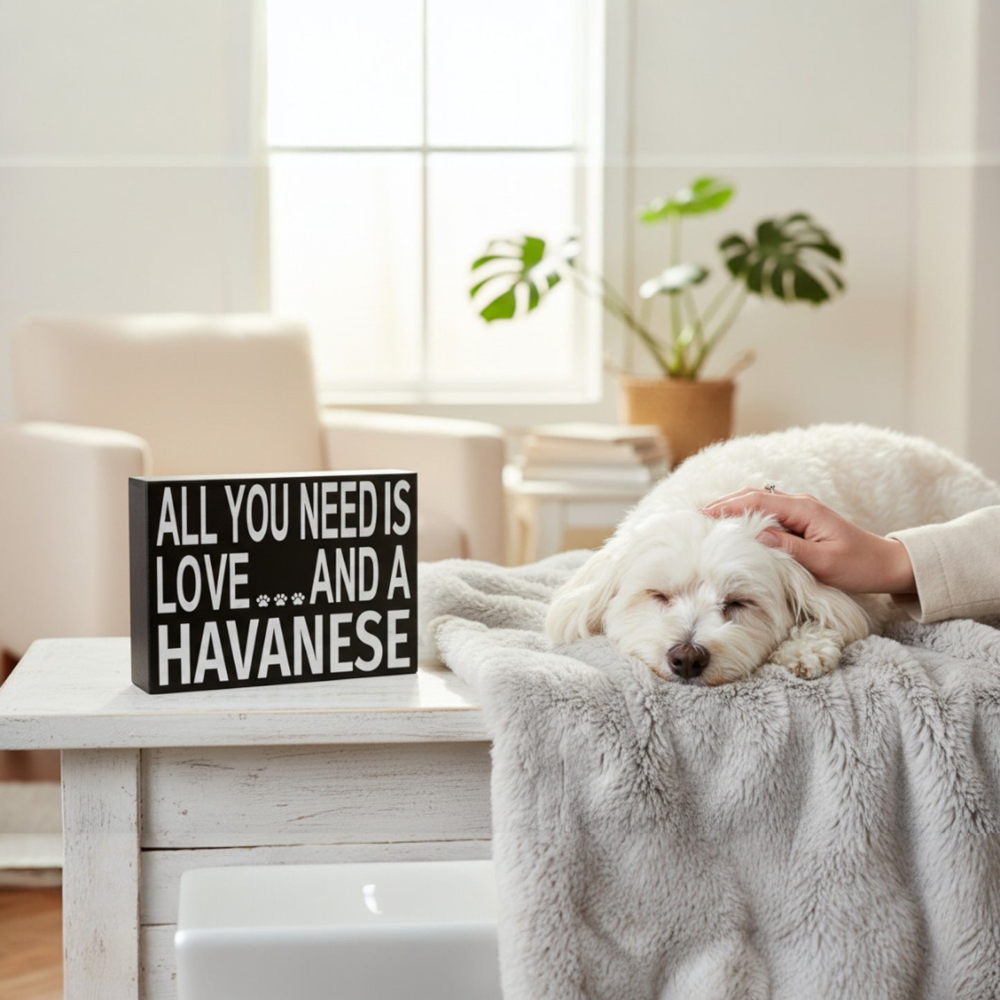 All You Need is Love and a Havanese Sign