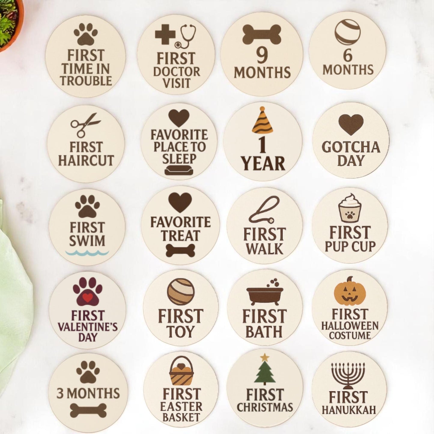 Dog Milestone Markers: Puppy Firsts Photo Prop Set
