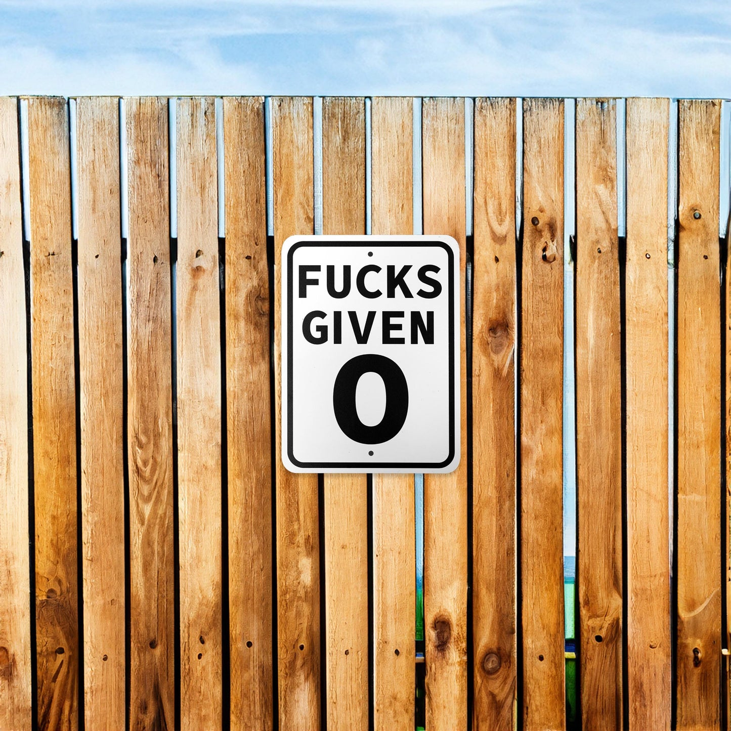 Zero Fucks Given Metal Sign, Man Cave Decor, Gym Sign, Sarcastic Gifts, Garage Sign, Offensive Gift, 9x12 Metal