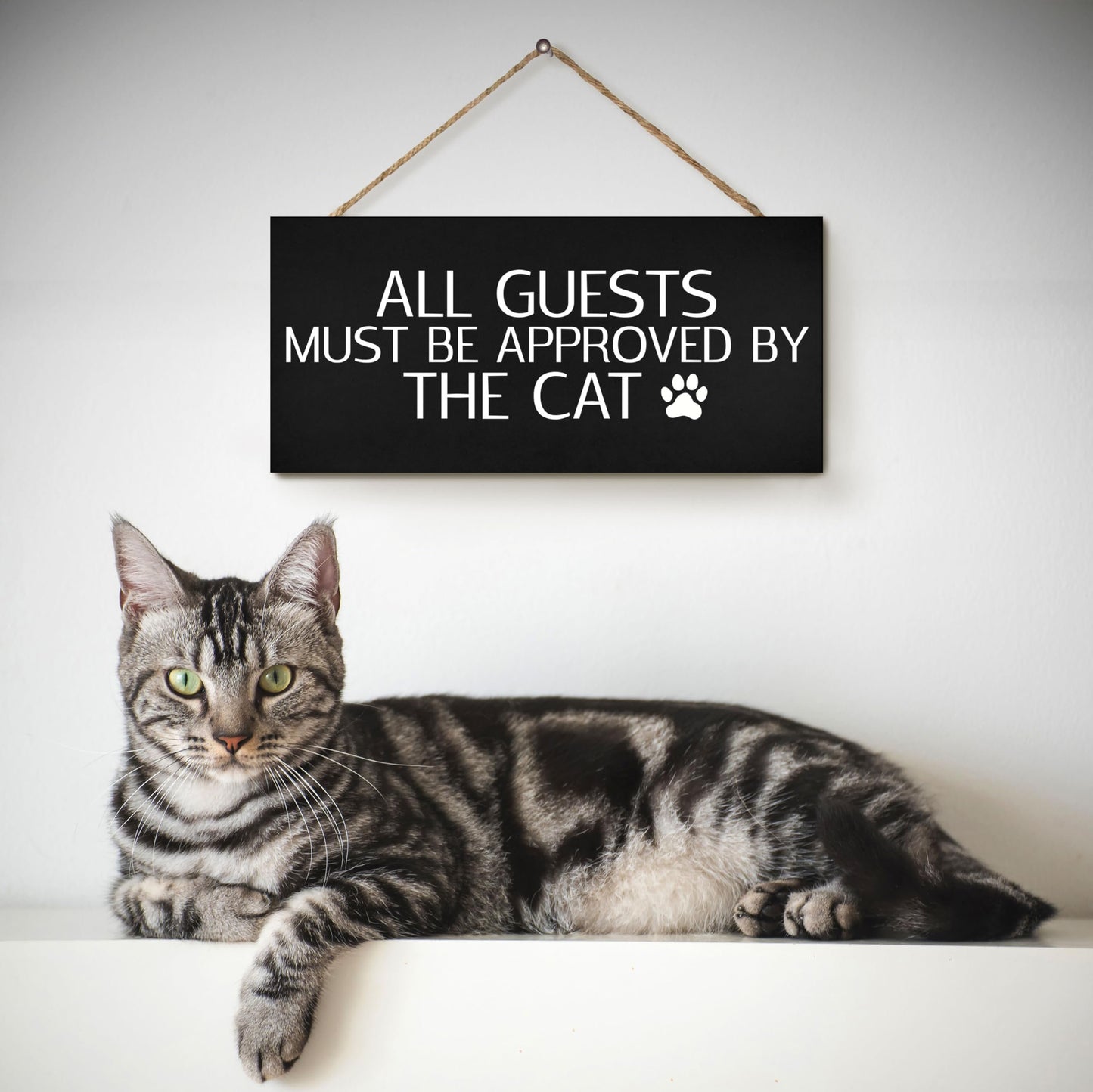 JennyGems Funny Cat Gifts, All Visitors Must Be Approved By the Cat Wooden Sign, Wall Hanging
