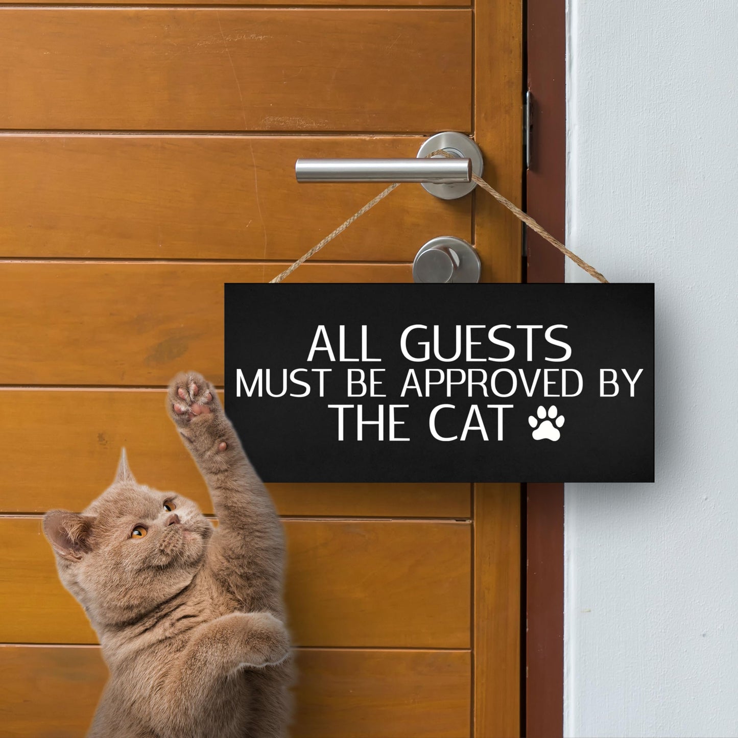 JennyGems Funny Cat Gifts, All Visitors Must Be Approved By the Cat Wooden Sign, Wall Hanging