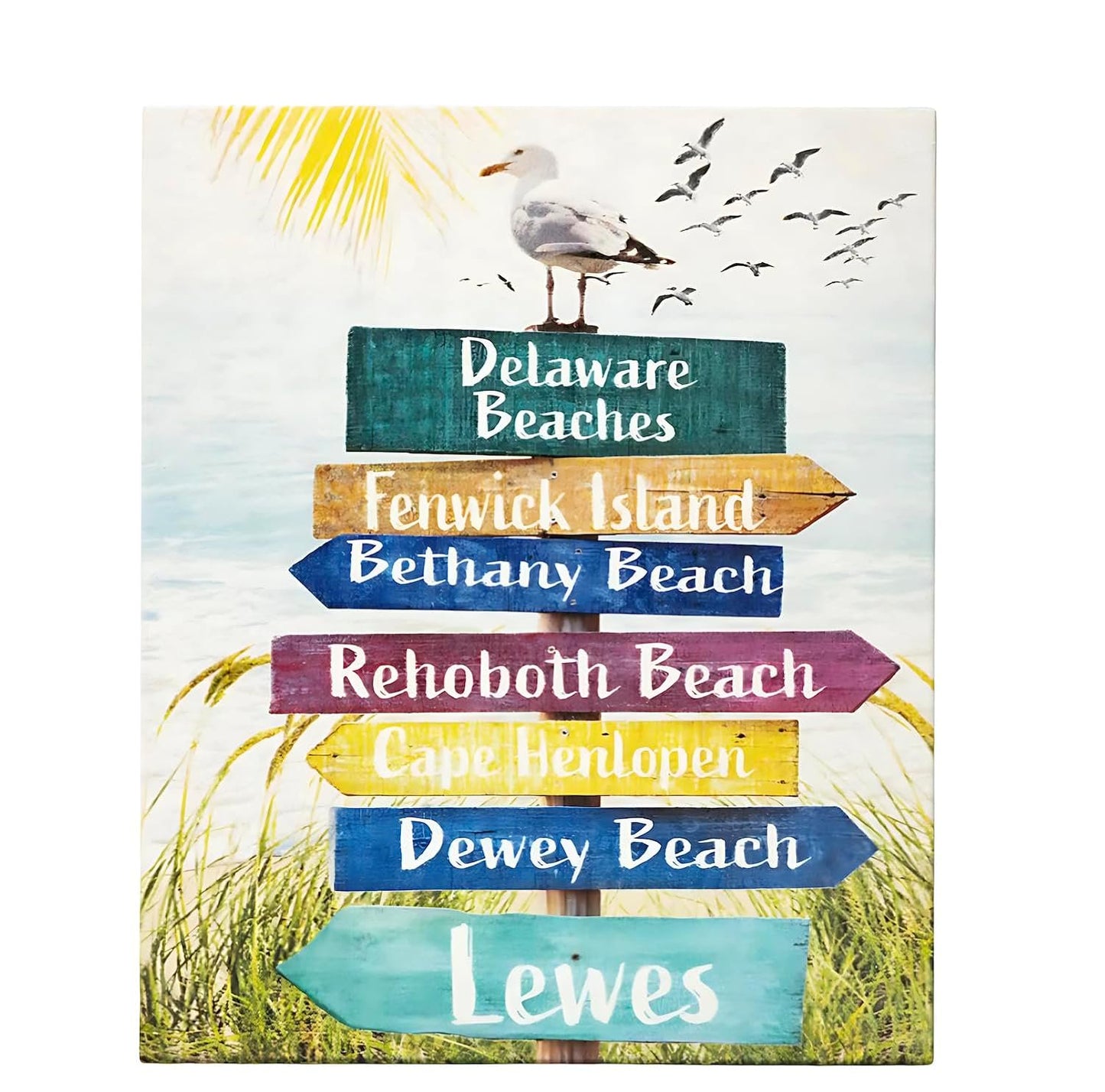 Delaware Beaches Sign