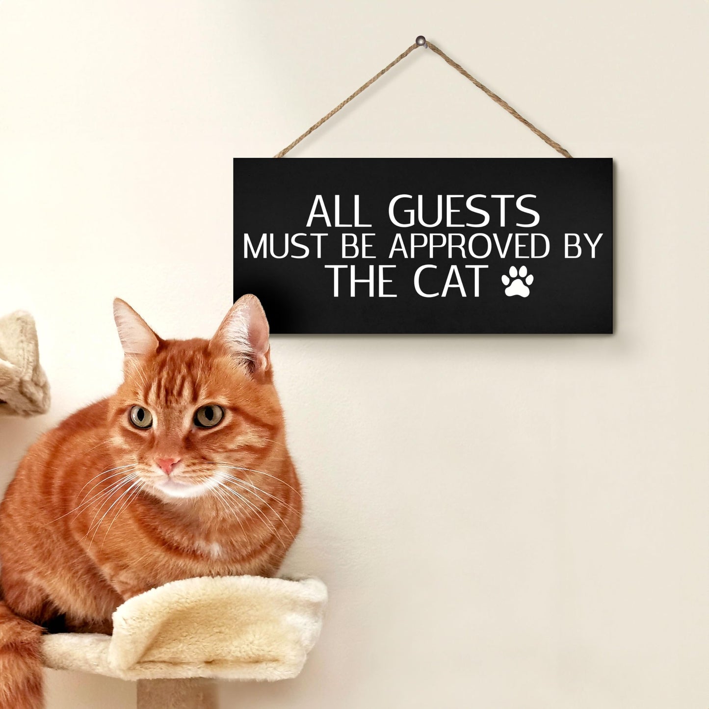 JennyGems Funny Cat Gifts, All Visitors Must Be Approved By the Cat Wooden Sign, Wall Hanging