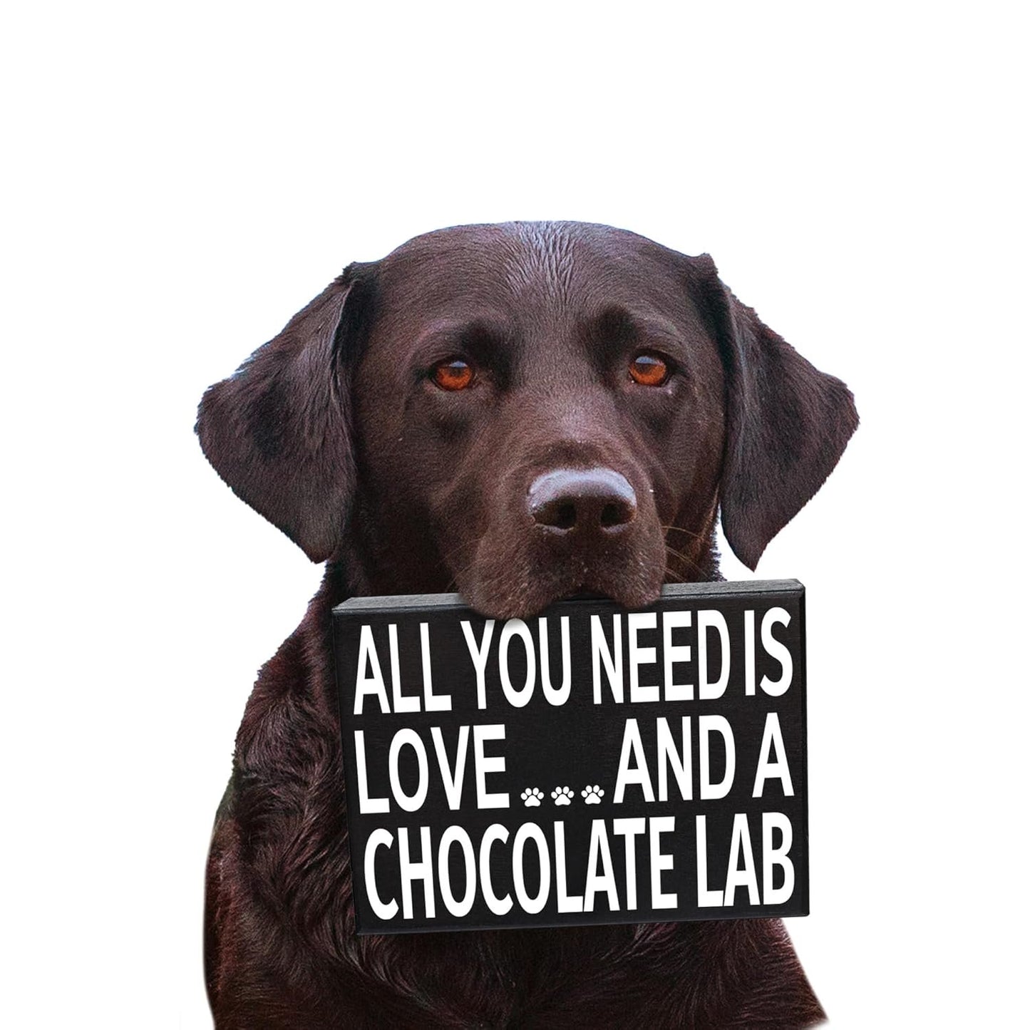 All You Need Is Love and a Chocolate Lab Wooden Sign