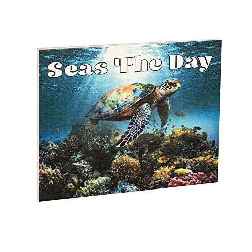 JennyGems Sea Turtle Decor, Seas the Day Wooden Sign, Ocean Theme Wall Art