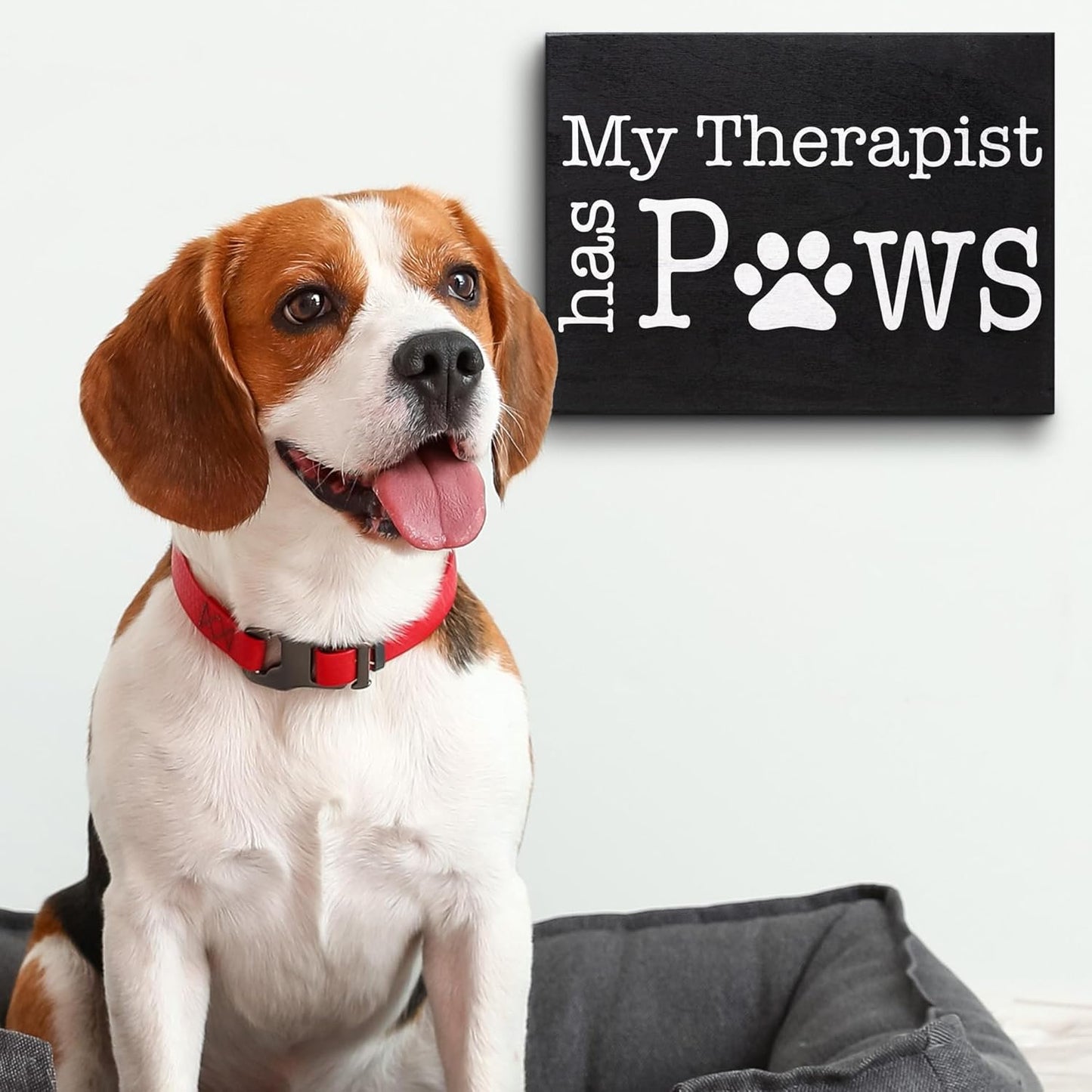 My Therapist Has Paws Wooden Sign Pet Lover Gift for Dog or Cat Owners Cute Home Decor for Shelf or Wall Made in USA