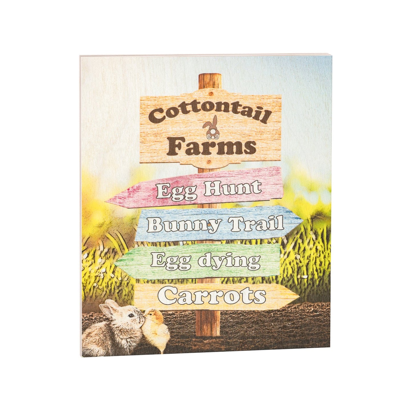 JennyGems Easter Decorations, Cottontail Farms Easter Sign, Wall Hanging